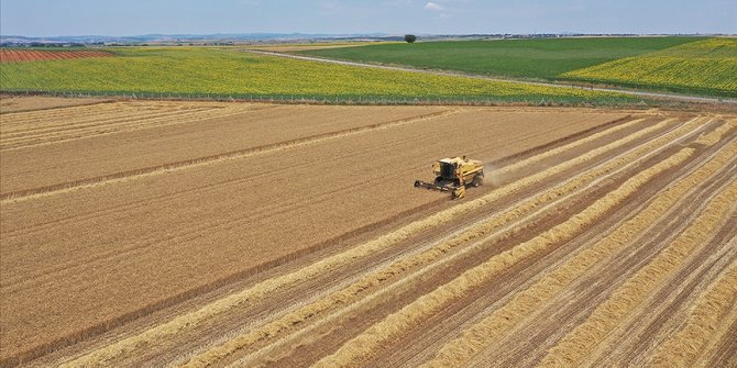 Yağış zamanlarının kayması tarımsal takvimde revizyonu gündeme getirdi