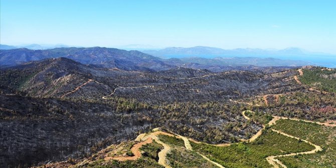 Marmaris'te yanan orman alanı havadan görüntülendi