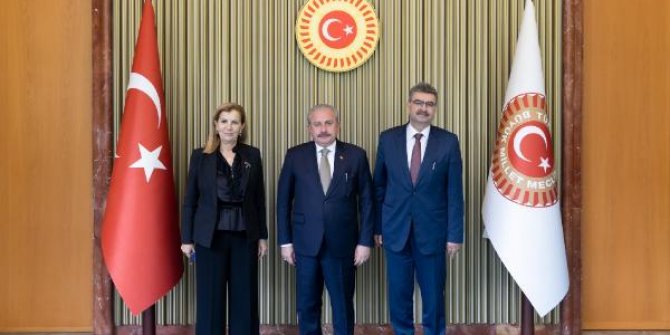 TBMM Başkanı Şentop: Kıbrıs davası, milli davadır