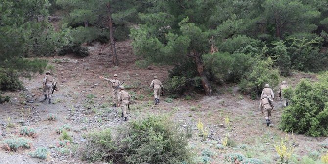 Denizli'de jandarma orman yangınlarına karşı devriyeye başladı