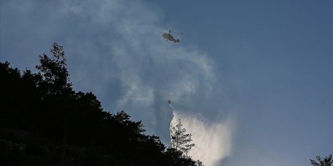 İzmir'in Ödemiş ilçesinde çıkan orman yangınına müdahale ediliyor