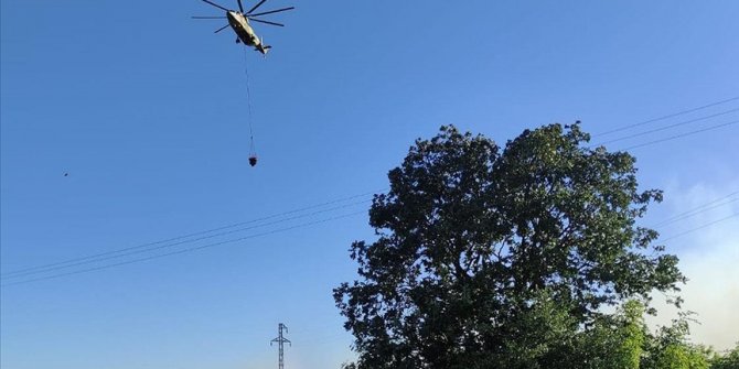 Çanakkale'deki orman yangını kontrol altına alındı