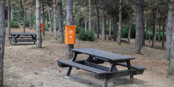 İstanbul Valiliği 5-31 Temmuz'da ormanlık alanlara girişleri yasakladı