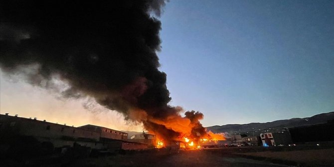 İzmir'in Ödemiş ilçesinde çıkan orman yangını kontrol altına alındı