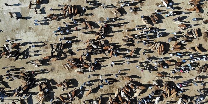 Kurban Bayramı 9 Temmuz Cumartesi günü başlayacak