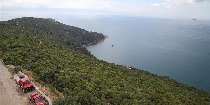 İstanbul ormanlarında "dumansız yangın"la mücadele