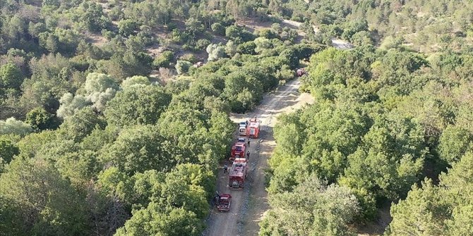 Edirne’de çıkan orman yangını kontrol altına alındı