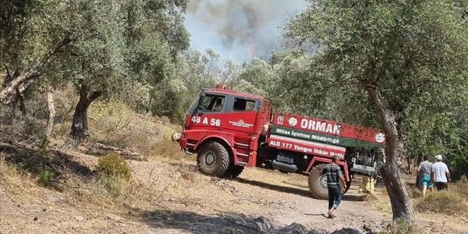 Bodrum'da ormanlık alanda çıkan yangın söndürüldü