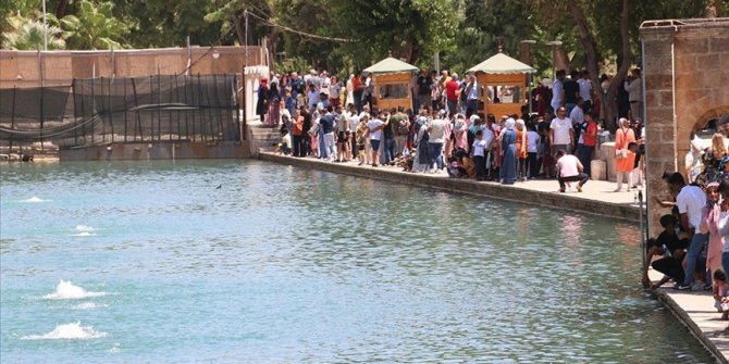 Balıklı göldeki balıklar öldü mü? Balıklı göldeki balıklara ne oldu? Balıklı göldeki balıklar ölüyor mu?