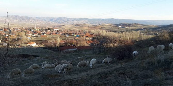 Köylünün fatura tepkisi