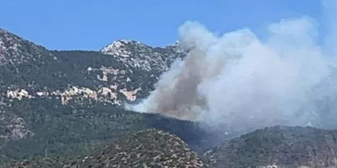 Muğla'da orman yangını: Rüzgarın etkisiyle yayıldı!