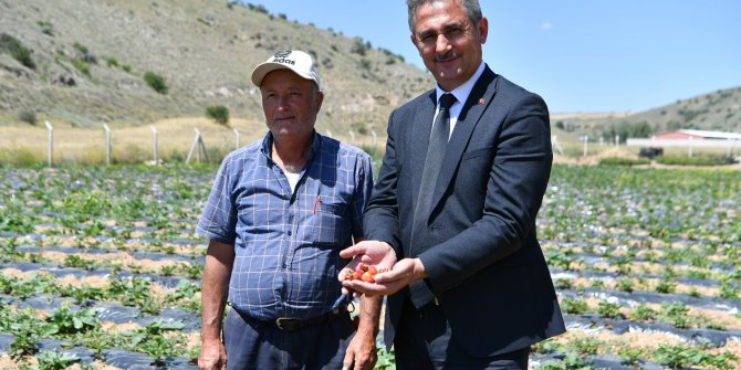 Mamak ekiyor, biçiyor, üretiyor