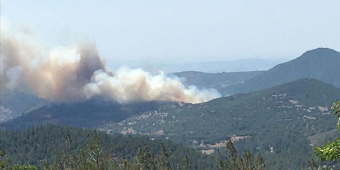 Balıkesir'de ormanlık alanda çıkan yangına müdahale ediliyor