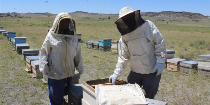 Konya'da Bilici çifti 29 yıldır 'bal mesaisi' yapıyor
