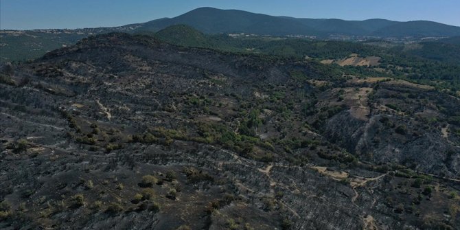 Balıkesir'in Kepsut ilçesindeki orman yangınında soğutma çalışmaları sürüyor