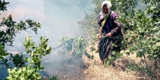 Bingöl'de orman yangını, büyümeden söndürüldü