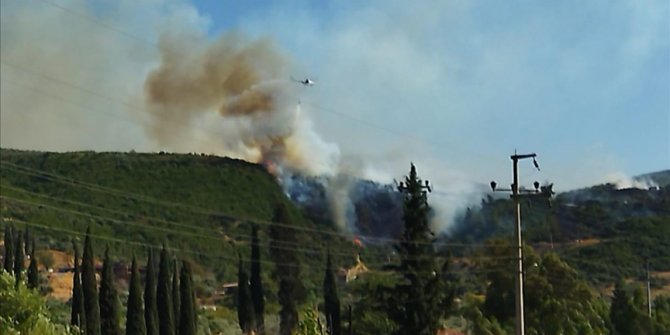 Aydın'da çıkan orman yangını kontrol altına alındı