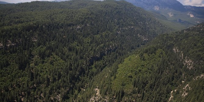 Balıkesir'de ormanlık alanlara giriş ve çıkışlar yasaklandı