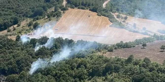 Bursa'da orman yangını!