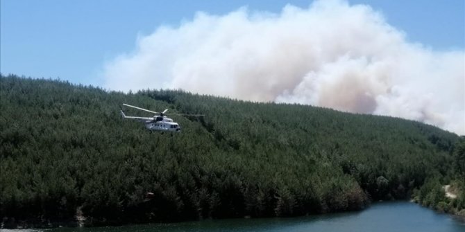 Manisa'da orman yangını çıktı