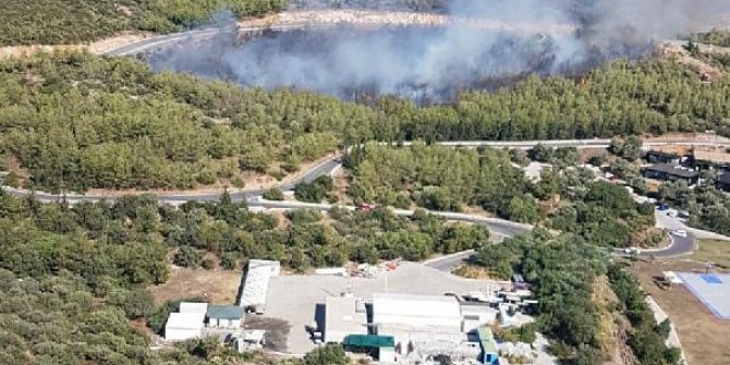 Muğla'da orman yangını