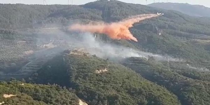 Söke’de çıkan orman yangınında 50 dönüm alan zarar gördü