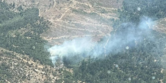 İzmir'de orman yangını! Ekipler bölgede