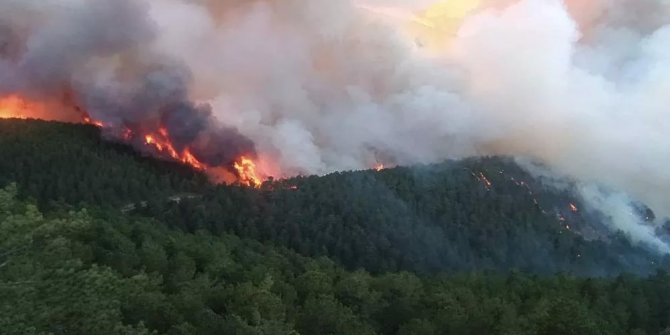 İki ilde orman yangını! Kütahya'da kontrol altına alındı