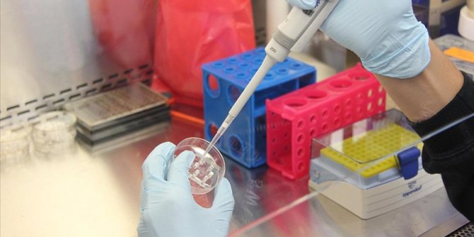 Japonya’da ilk maymun çiçeği vakası tespit edildi