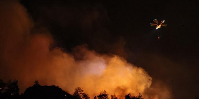 Aydın'da çıkan orman yangınına müdahale ediliyor
