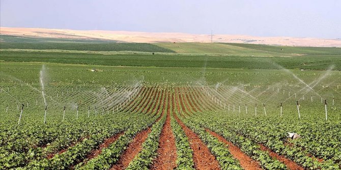 Diyarbakır'da suyla buluşan araziler çiftçinin gelirini artırıyor