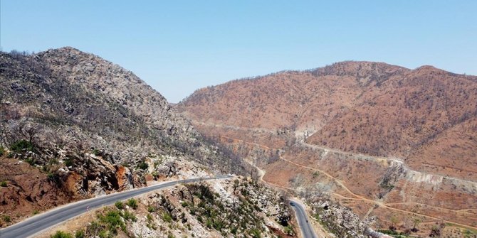 Marmaris yangınının üzerinden bir yıl geçti