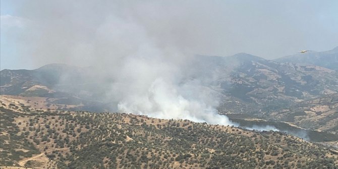 İzmir'de makilik alanda çıkan yangına müdahale ediliyor