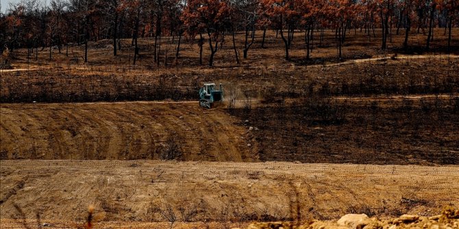 Yanan ormanların eski haline dönmesi 60 yılı bulabiliyor