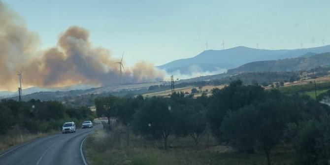 İzmir'de, tarım alanında yangın