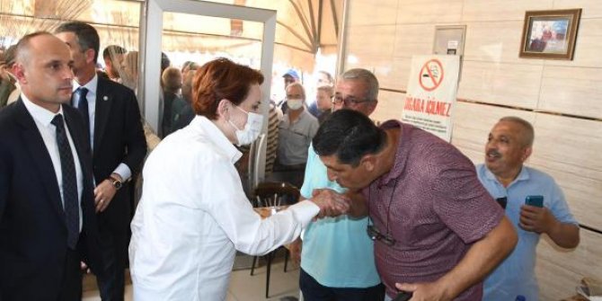 Akşener: Kuru ayçiçeğinin fiyatı 16.5 TL olmalı
