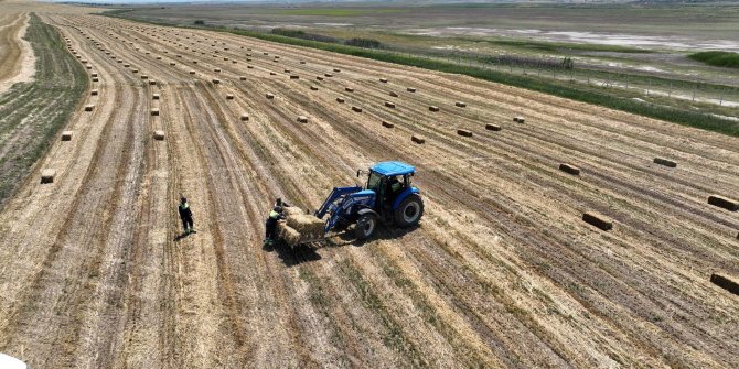 Arpa ve tohum desteği başvuruları başladı 