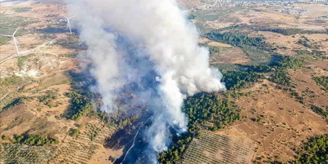 İzmir'de tarım alanında çıkan yangına müdahale ediliyor