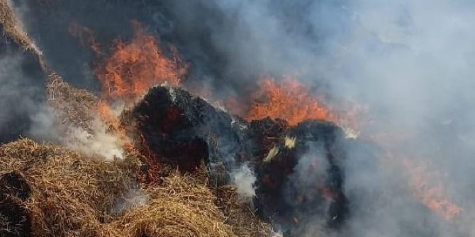 Büyükbaş çiftliğinde çıkan yangın, ahırlara sıçramadan söndürüldü