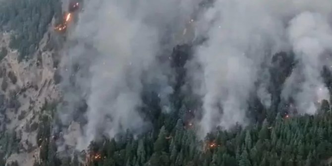 Mersin'de orman yangını devam ediyor! Ekipler bölgede
