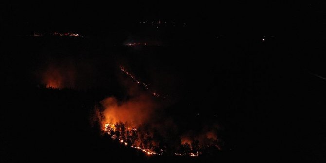 Balıkesir'deki orman yangını kontrol altına alındı