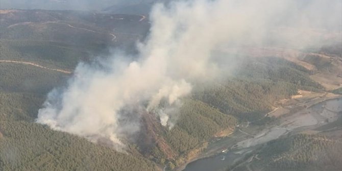 Balıkesir'de çıkan orman yangınına karadan ve havadan müdahale ediliyor