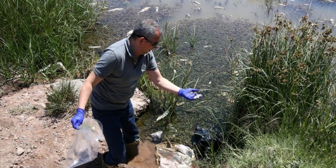 Sivas'ta Kızılırmak'taki balık ölümlerinin nedeni araştırılıyor