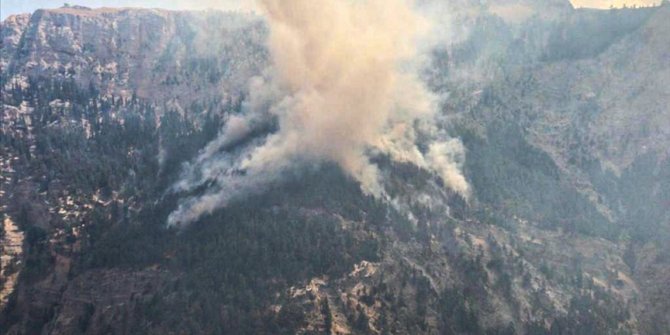 Mersin'deki orman yangınına 3. gününde müdahale ediliyor