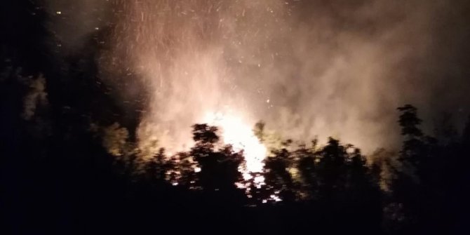 Hatay'da ormanlık alanda çıkan yangına müdahale ediliyor