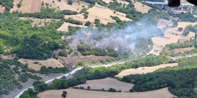 Balıkesir'de çıkan orman yangını kontrol altına alındı