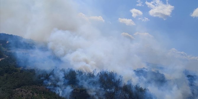 Çanakkale'de çıkan orman yangını kontrol altına alındı