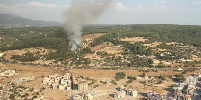 İzmir'de ormanlık alanda çıkan yangın kontrol altına alındı