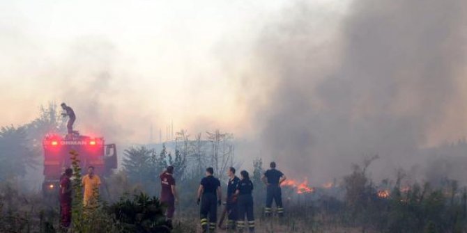 Edirne'de, Meriç Nehri kıyısında çıkan otluk yangını söndürüldü