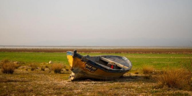 Marmara Gölü su tutana kadar TİGEM'e tahsis edildi